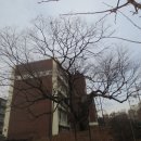 부천여중 이미지