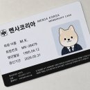 멘사 합격했어요! 멘사코리아 입회테스트 합격 후기
