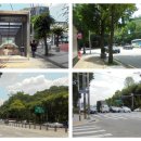 우면산 (서초약수터) 이미지