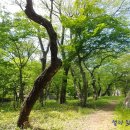 ‘건설업계 황태자’ 김대헌 호반그룹 대표, 역대급 위기에 경영권 승계 시험대 이미지