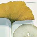 유 여성 사우나 이미지