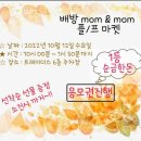 댕냥키친 이미지