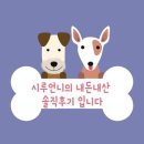 랑데자뷰 대전점 이미지