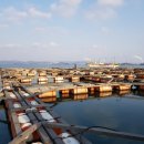 인어좌대 이미지