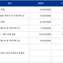엘비젼