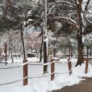 남동문화근린공원2 이미지