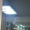 4월 첫째주