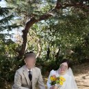 플레르무이