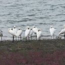 (유)중앙환경건설 이미지