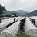 진안군농협조합공동사업법인 이미지