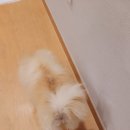 달룡이마늘보쌈 . 왕족발