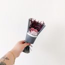 테리플라워 이미지