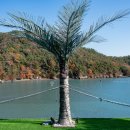 하이락리조트 이미지