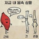 동아월드