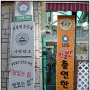 송도골 Daum카페