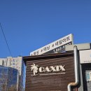 오아시스헤어 | 가산 남자왁싱 오아시스왁싱태닝 브라질리언왁싱 받으러 갔다가 인그로운헤어까지 해결함