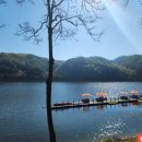 제10회자연감성전 이미지