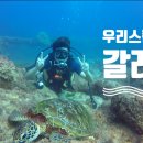우리스킨스쿠버 티스토리
