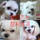 하이타이어 사상점 이미지