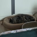 백호PC방 | 2025년 여름의 일상