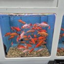 광원수족관 이미지