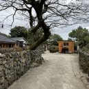 퐁낭거리 이미지