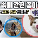꽁이옷장 이미지