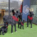 판도라 동탄약국 이미지