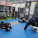 팍스코리아 이미지