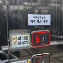 미파문피부과의원 이미지