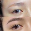 피씨엘코리아 이미지