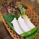 삼백육백 이미지