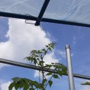 구실농장 이미지