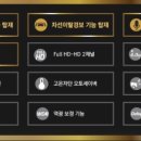 경보 골드 이미지