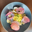 파스타입니다속초점 | 속초 파스타 맛집 오스테리아 제로제로 후기