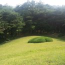 꽃가꾸는대통령마을 네이버블로그