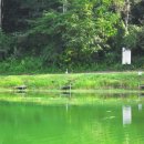 봉낚시터 이미지