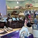 현대애견사료 이미지