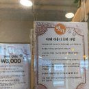 펫티 | 마곡 애견카페 추천｜야외테라스 있는 펫티 애견카페 후기