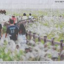 속옷나라 이미지