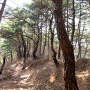 소나무주유소 이미지