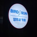 영동카프라자
