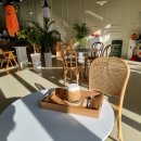 솔티위티 이미지