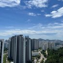 더베스트부동산공인중개사사무소 이미지