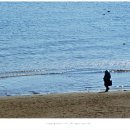 바다풍경 이미지