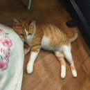 용산농장 이미지