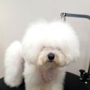 늘 예쁘개 네이버블로그