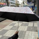 성창신발 | 상반기 쇼핑 후기 - 중국산 평가
