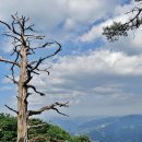 한국의 100대명산 태화산(영월,단양) 이미지