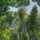 주식회사 유니버셜 이미지